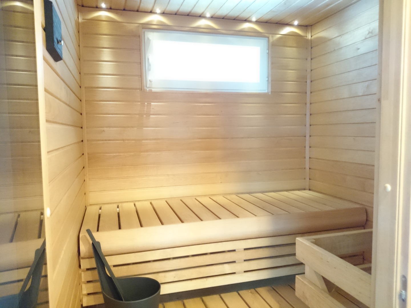 sauna1