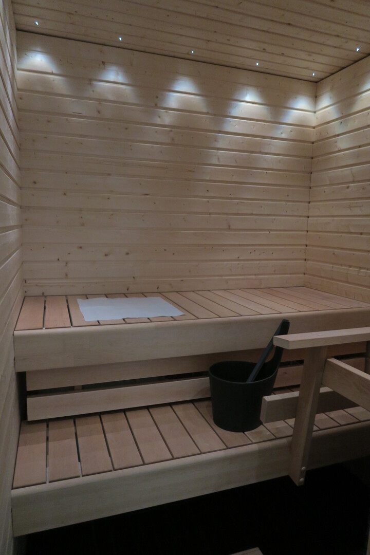 A201-sauna1